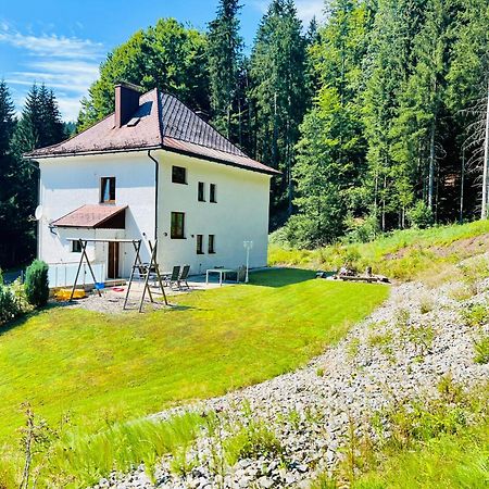 Ferienhaus Lebenskraft Pfaffetschlag Εξωτερικό φωτογραφία